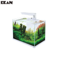 Ultra White Glass Aquatic Plant Fish Tank